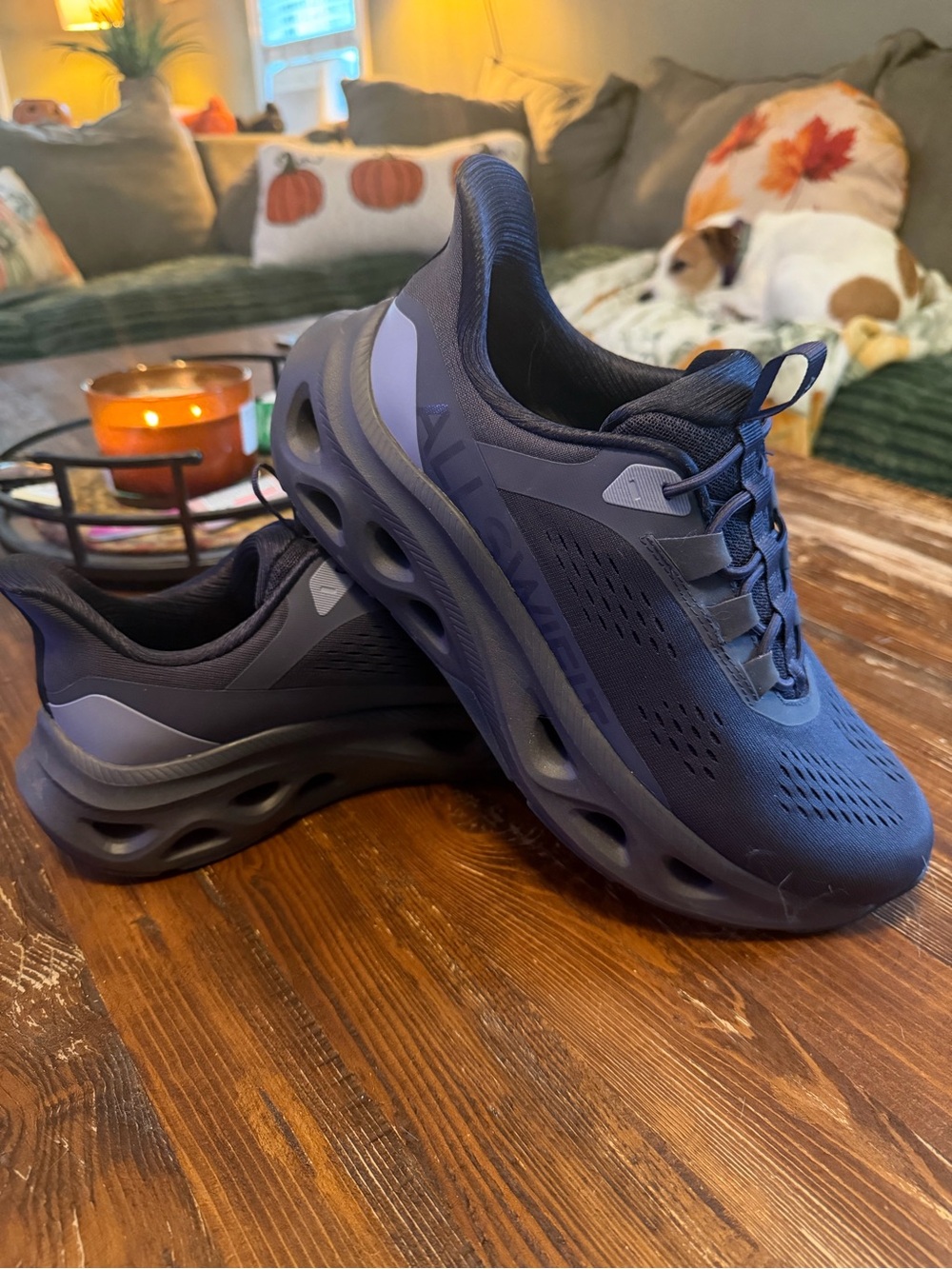 Women's Lightweight Navy Performance Sneakers